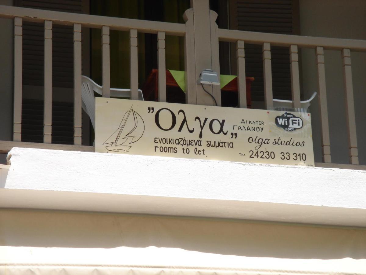 Olga Studios Áfissos Kamer foto